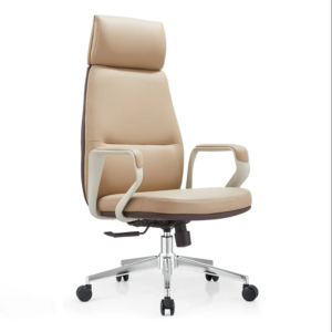Posture Director Chair